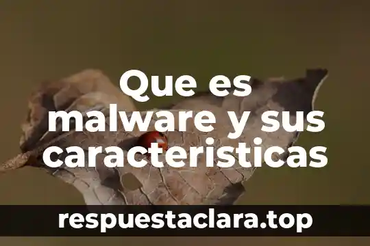 Que es malware y sus caracteristicas