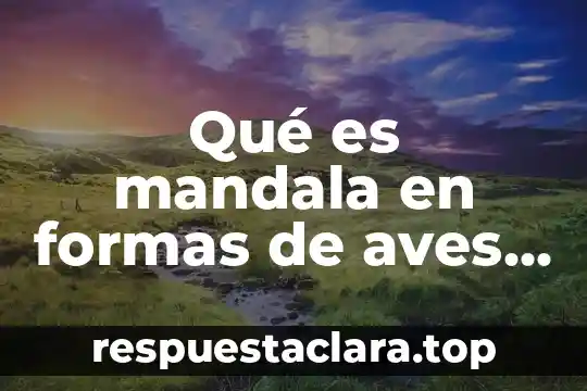 Que es una funcion y las diversas formas de representarlas 6 Qué es mandala en formas de aves para colorear