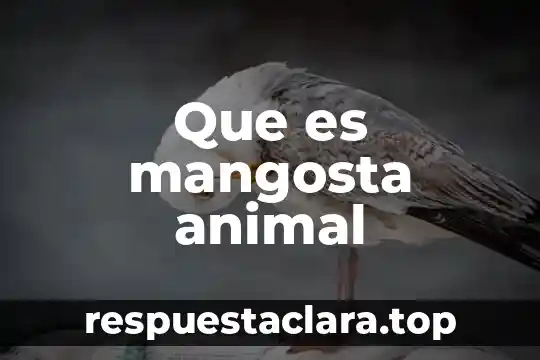 Que es mangosta animal