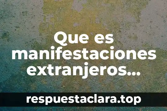 Definicion de que es unn programa de computacion 4 Que es manifestaciones extranjeros definición