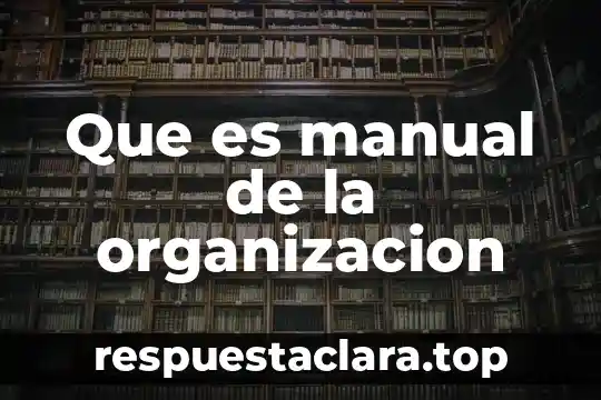 Que es manual de la organizacion
