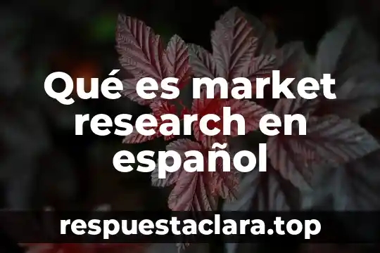Qué es market research en español