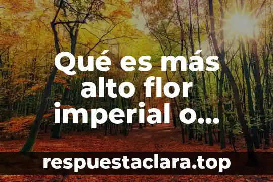 Qué es más alto flor imperial o quintilla
