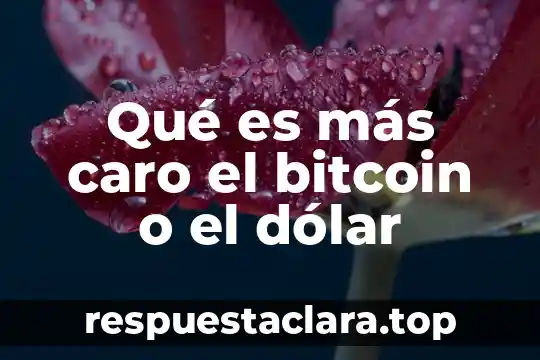 Qué es más caro el bitcoin o el dólar