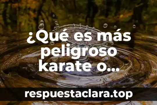 Que es el significado de taekwondo 5 ¿Qué es más peligroso karate o taekwondo?