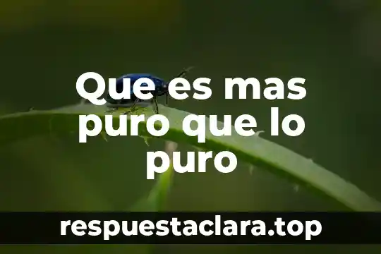Que es mas puro que lo puro