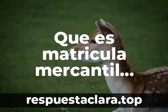 Que es matricula mercantil yahoo