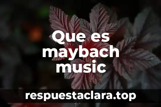 Que es color music 4 Que es maybach music