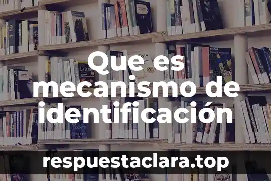 Que es mecanismo de identificación