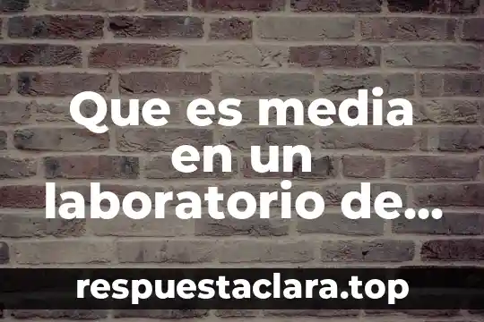 Que es media en un laboratorio de fisica