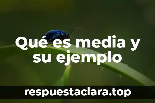 Qué es media y su ejemplo