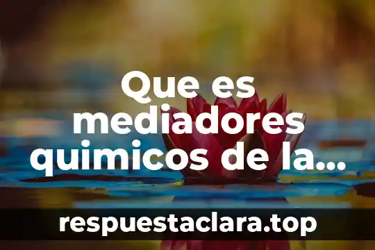 Que es mediadores quimicos de la neurona