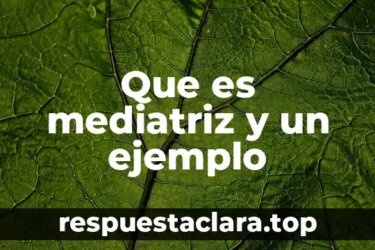 Que es un compuesto ejemplo caeros 5 Que es mediatriz y un ejemplo
