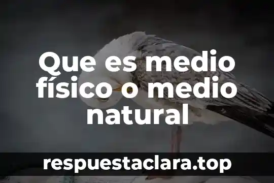 Que es medio físico o medio natural
