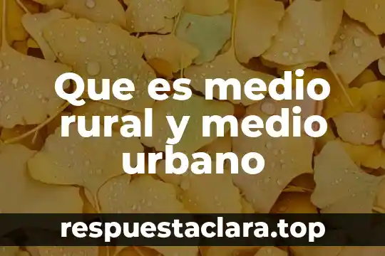 Que es el medio qúimico biologico del ser humano 5 Que es medio rural y medio urbano