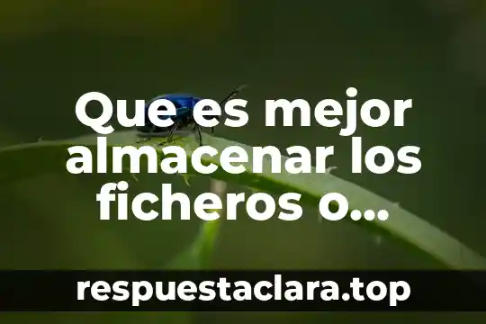 Que es mejor almacenar los ficheros o bases de datos