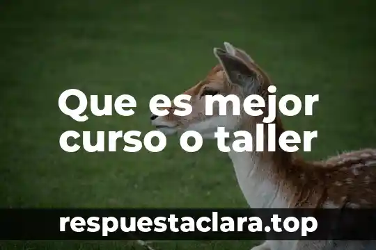 Que es mejor curso o taller