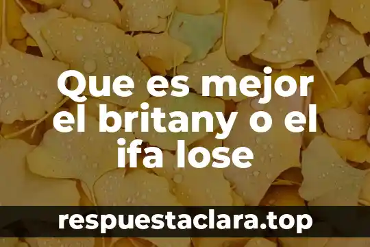 Que es mejor el britany o el ifa lose