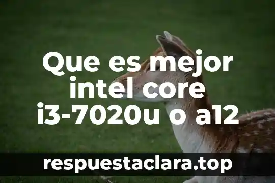 Habilidad de pensamiento que es síntesis de organización mental 6 Que es mejor intel core i3-7020u o a12