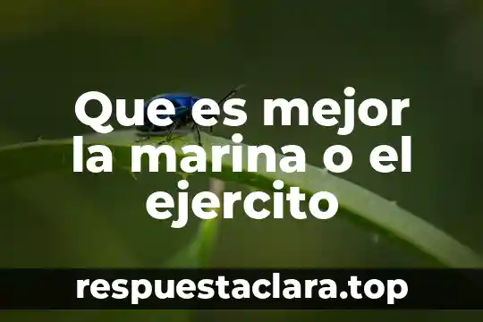 Qué es mejor Monster o Red Bull 5 Que es mejor la marina o el ejercito