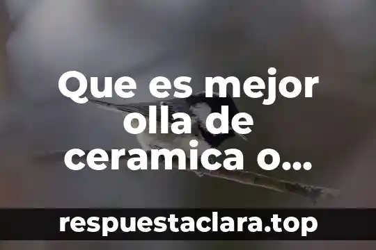 Que es mejor olla de ceramica o teflon