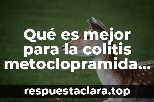 Concepto que es la colitis 6 Qué es mejor para la colitis metoclopramida o butilhioscina