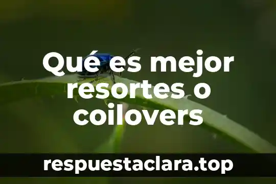 Que es una variaable estadistica 3 Qué es mejor resortes o coilovers