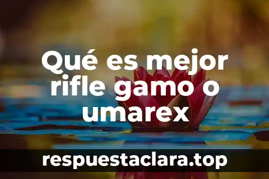 Qué es mejor rifle gamo o umarex