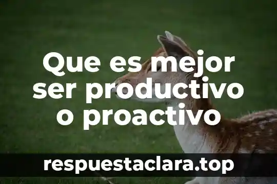 Que es mejor ser productivo o proactivo