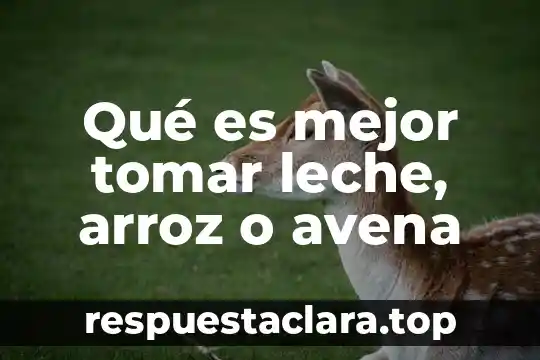 Que es mejor el arroz o la avena 5 Qué es mejor tomar leche, arroz o avena