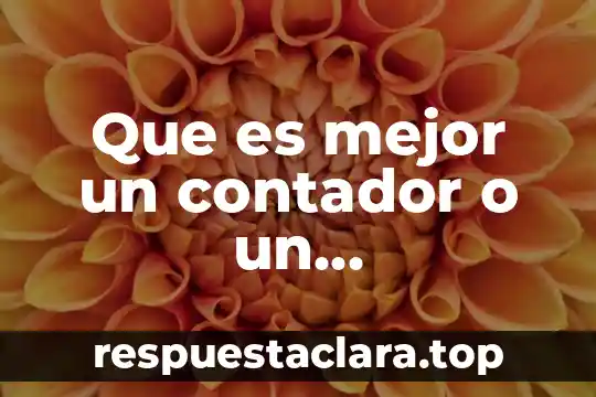 Que es mejor un contador o un administrador de empresas