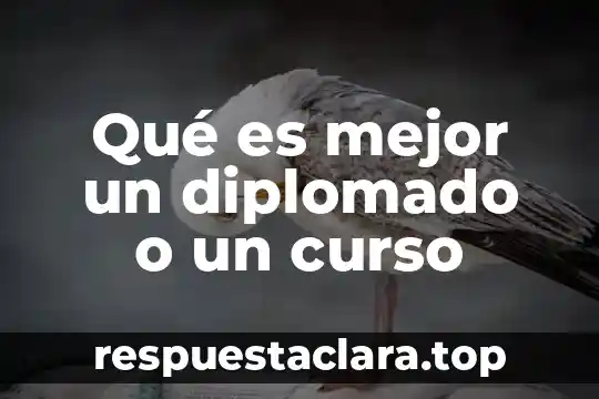 Qué es mejor un diplomado o un curso