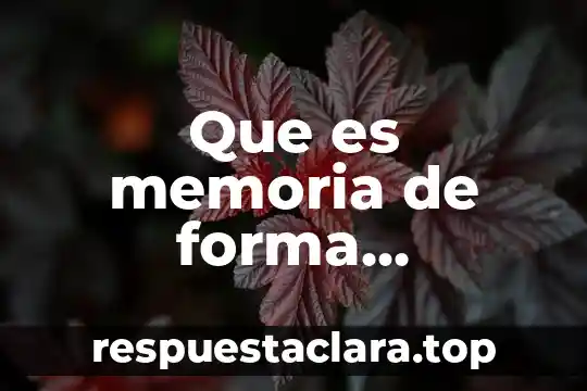Que es memoria de forma magnética