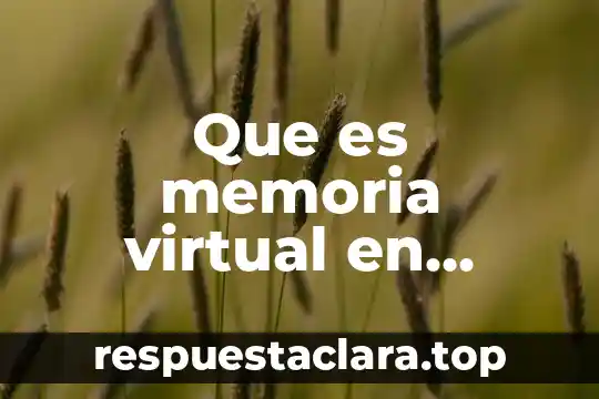 Que es memoria virtual en informatica