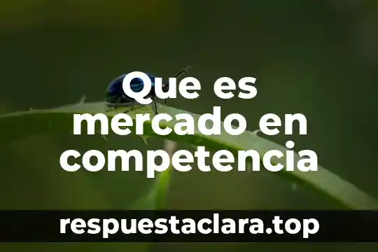 Que es mercado en competencia