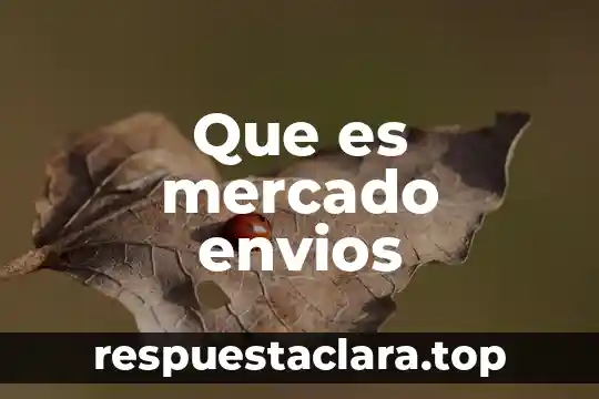 Que es mercado envios