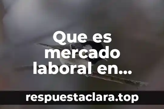 Que es mercado laboral en administracion