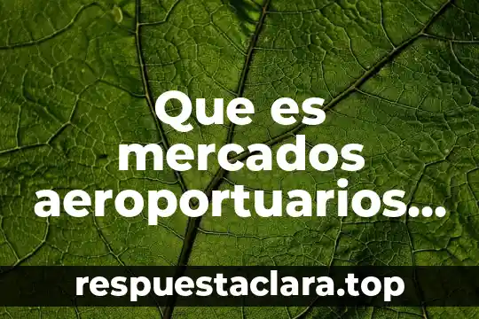 Que es discriminacion en los precios en mercados tecnologicos 4 Que es mercados aeroportuarios en mexico