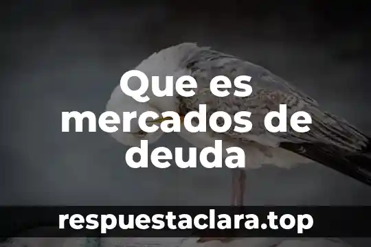 Qué es un gasto y deuda en economía 4 Que es mercados de deuda