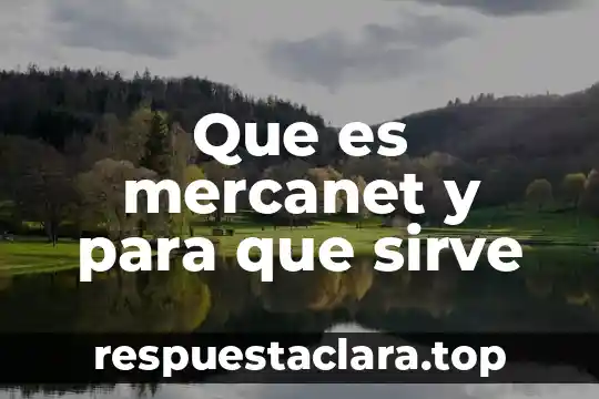 Que es mercanet y para que sirve