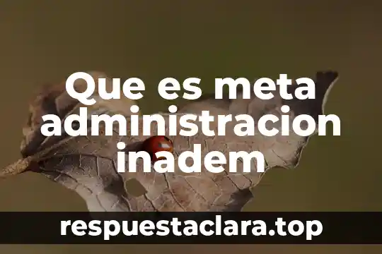 Que es meta administracion inadem