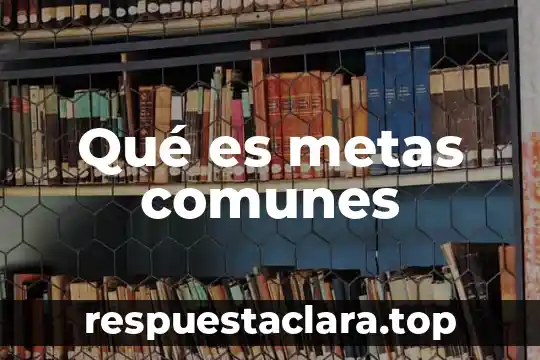 Qué es metas comunes