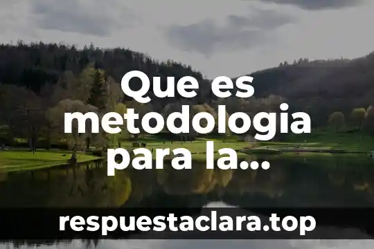 Que es metodologia para la resolución de problemas