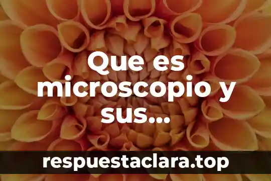 Que es microscopio y sus caracteristicas