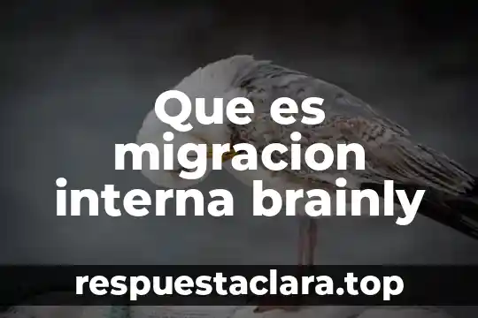 Que es migracion interna brainly
