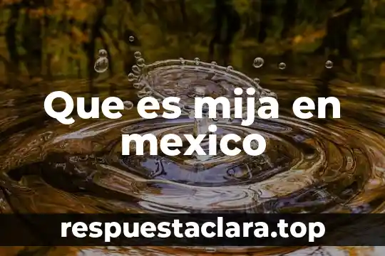 Que es ser joto en mexico 6 Que es mija en mexico