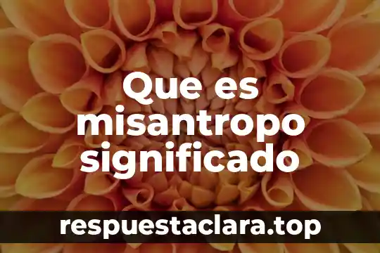 Que es lirismo significado 3 Que es misantropo significado