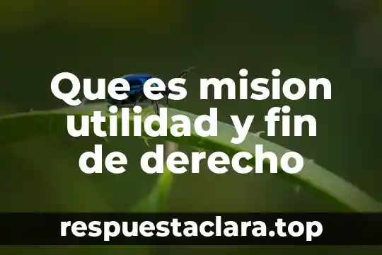 Que es la firma en derecho amparo 4 Que es mision utilidad y fin de derecho