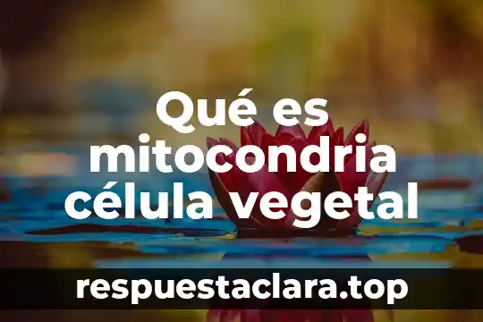 Que es la celula animal vegetal 5 Qué es mitocondria célula vegetal