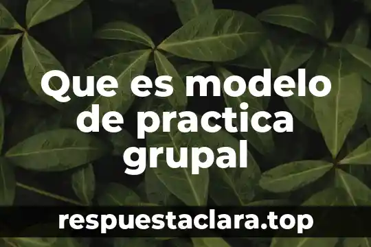 Que es modelo de practica grupal
